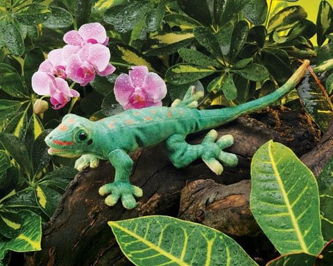 Gecko Hand Puppet from Folkmanis Puppets