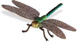 Dragonfly Replica from Safari