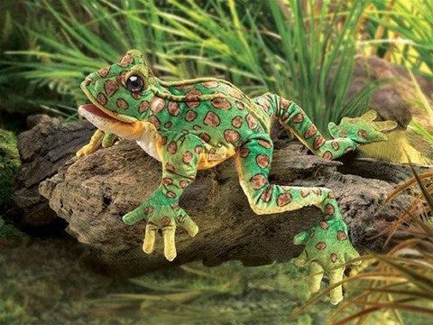 Leopard Frog Hand Puppet from Folkmanis Puppets