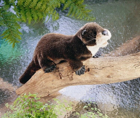 River Otter Hand Puppet from Folkmanis Puppets