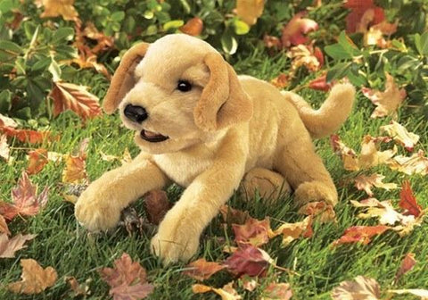 Yellow Labrador Puppy Puppet from Folkmanis Puppets