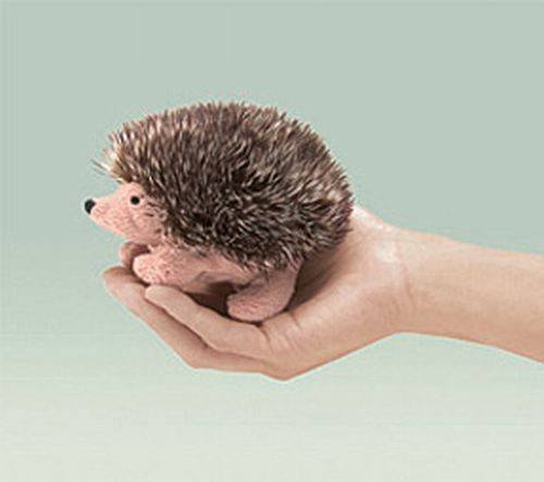 Mini Hedgehog Finger Puppet from Folkmanis Puppets - AardvarksToZebras.com