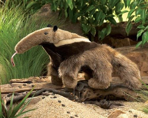 Anteater Hand Puppet from Folkmanis Puppets