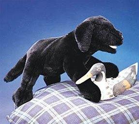 Black Labrador Puppy Hand Puppet from Folkmanis Puppets - AardvarksToZebras.com