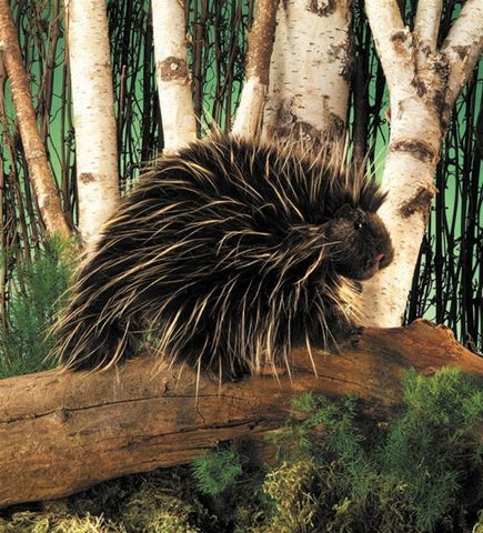 Porcupine Hand Puppet from Folkmanis Puppets