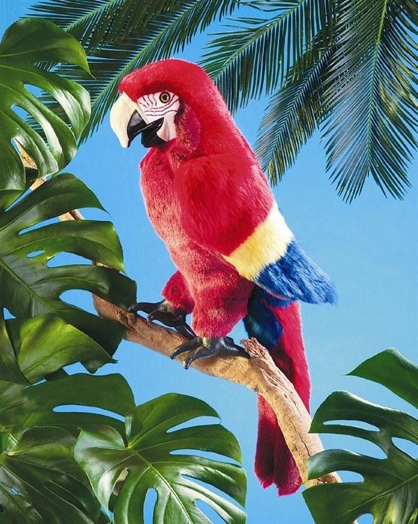 Parrot top hand puppet