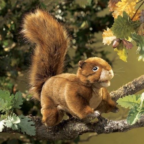 Squirrel, Red Hand Puppet from Folkmanis Puppets - AardvarksToZebras.com