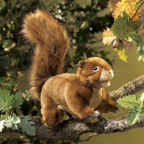 Squirrel, Red Hand Puppet from Folkmanis Puppets